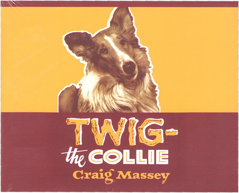 Picture of Twig the Collie