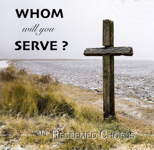 Picture of Whom Will You Serve?