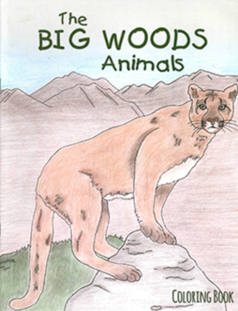 Picture of Big Woods Animals