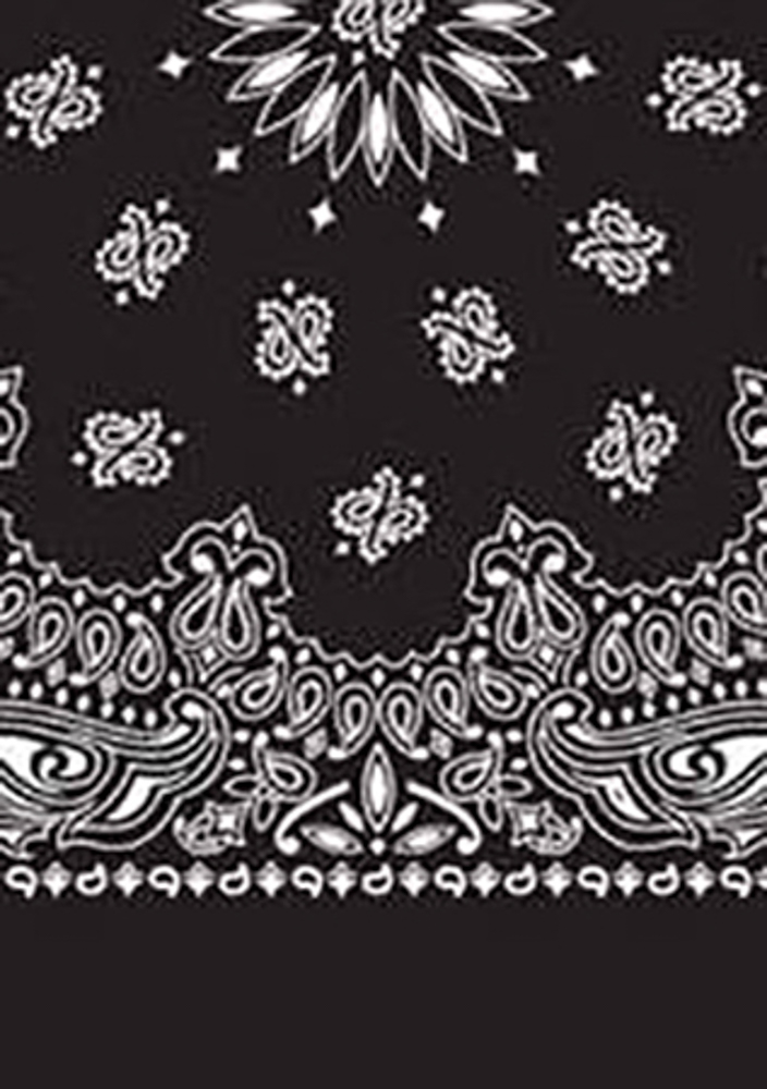 Picture of Paisley Bandanas