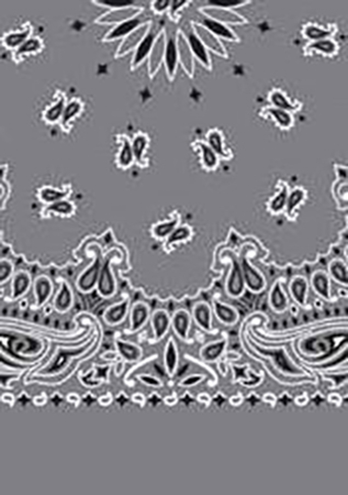 Picture of Paisley Bandanas