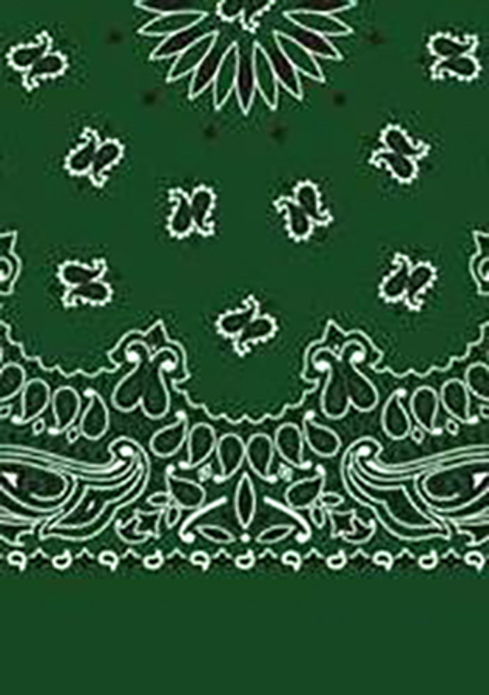 Picture of Paisley Bandanas