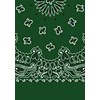 Picture of Paisley Bandanas