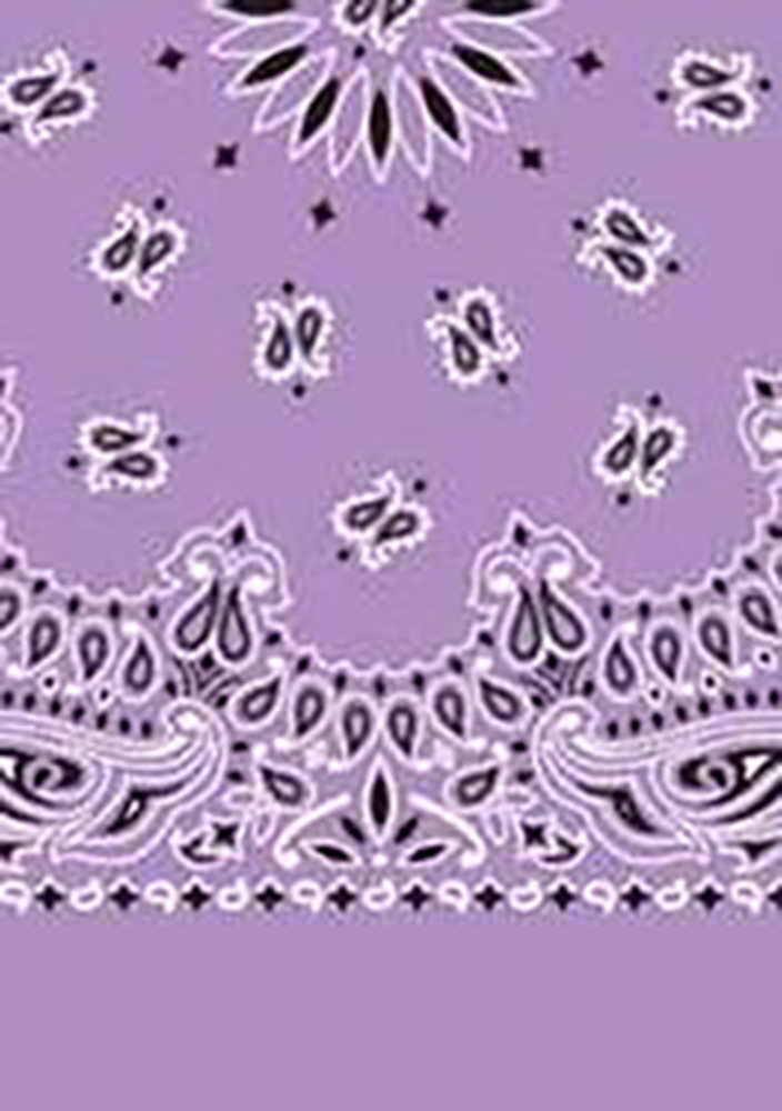 Picture of Paisley Bandanas