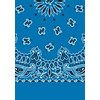 Picture of Paisley Bandanas