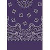 Picture of Paisley Bandanas