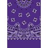 Picture of Paisley Bandanas