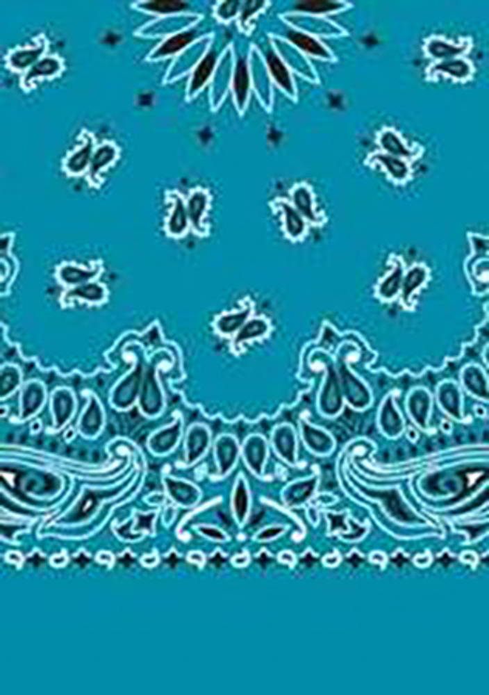 Picture of Paisley Bandanas