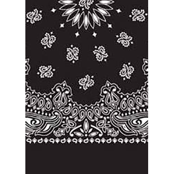 Picture of Paisley Bandanas