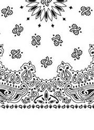 Picture of Paisley Bandanas