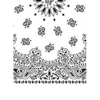 Picture of Paisley Bandanas