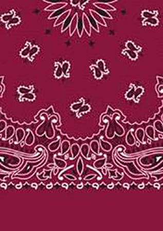 Picture of Paisley Bandanas