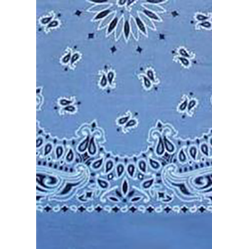 Picture of Paisley Bandanas