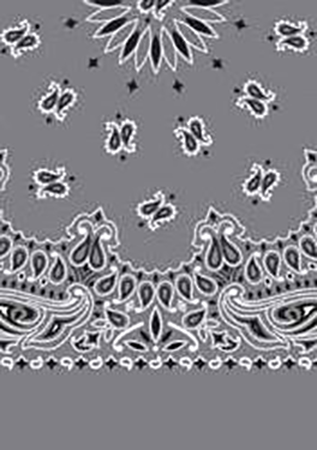 Picture of Paisley Bandanas