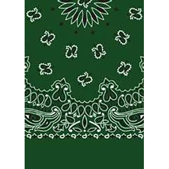 Picture of Paisley Bandanas