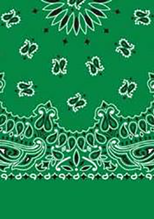 Picture of Paisley Bandanas