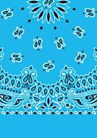 Picture of Paisley Bandanas