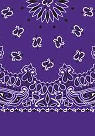 Picture of Paisley Bandanas