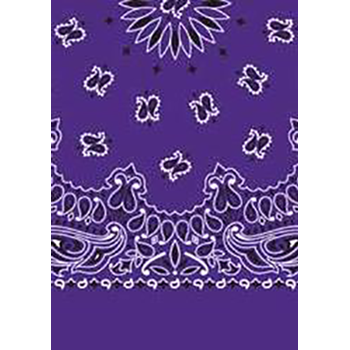 Picture of Paisley Bandanas