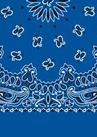 Picture of Paisley Bandanas