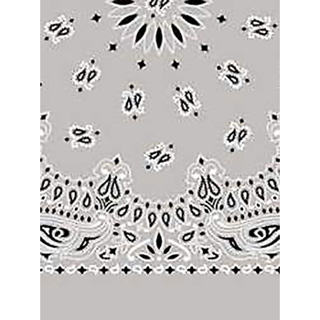 Picture of Paisley Bandanas