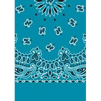 Picture of Paisley Bandanas