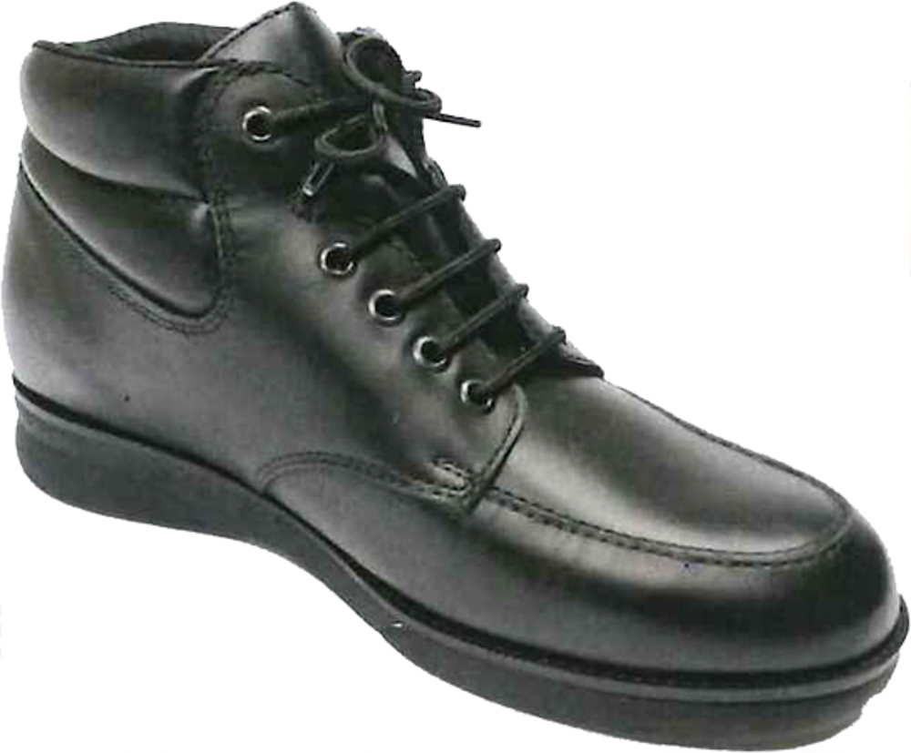 Picture of Men's Shoe