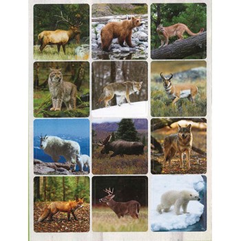 Picture of Country Creations Inspirations Stickers