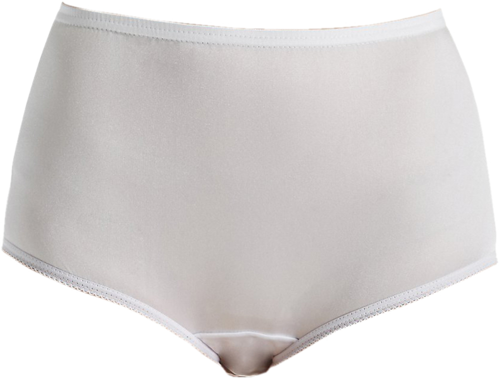 Picture of Plain Jane Nylon Brief