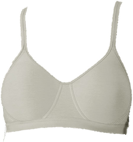 Picture of Hanes X-Temp Bra