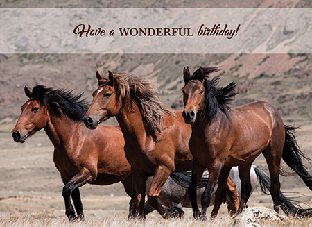 Picture of Wild Horses