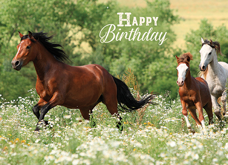 Picture of Wild Horses