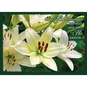 Picture of Lilies