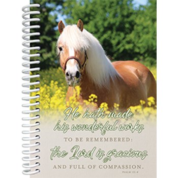 Picture of Faith View Notebooks