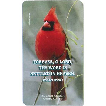 Picture of Scripture Verse Magnet