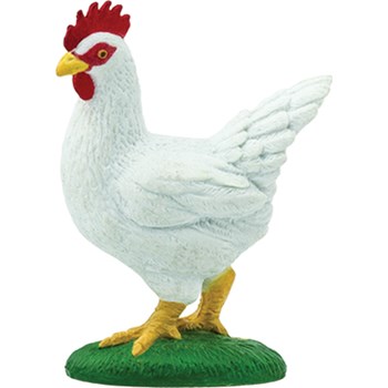 Picture of Chicken