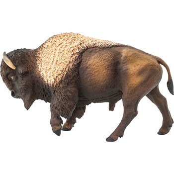 Picture of Bison