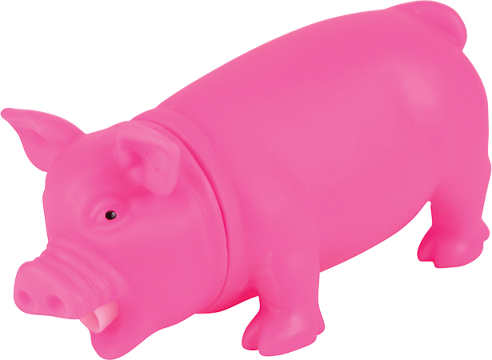 Picture of Pink Snorting Pig