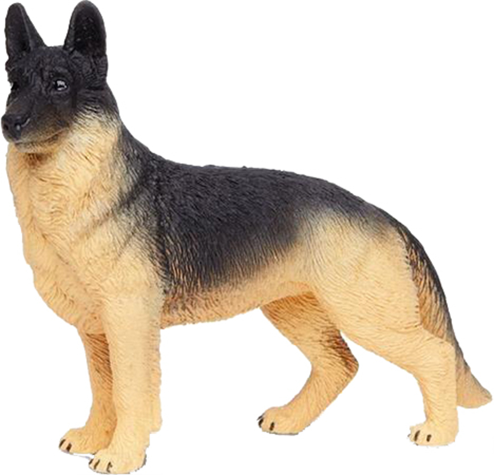 Picture of German Shepherd