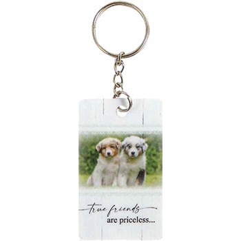 Picture of Laminated Keychains