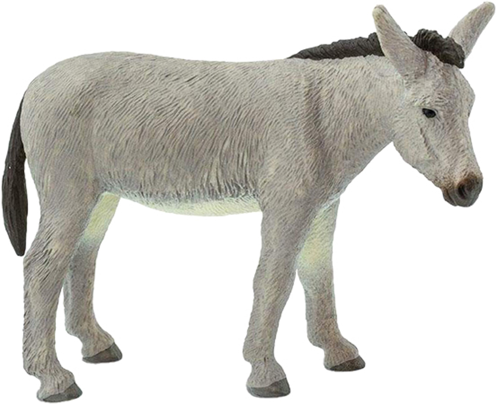 Picture of Donkey