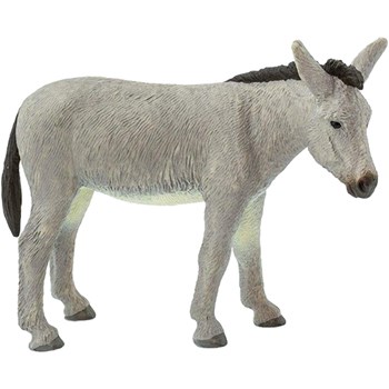 Picture of Donkey